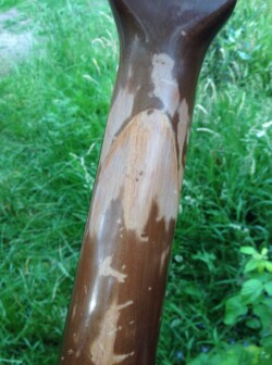 Encore Neck fixed. Encore Neck fixed.