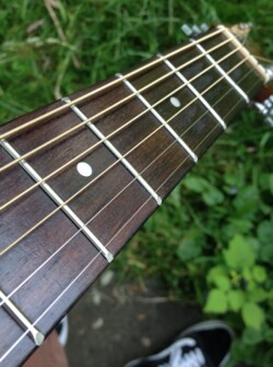 Joe's Encore neck cleaned and oiled. Joe's Encore neck.